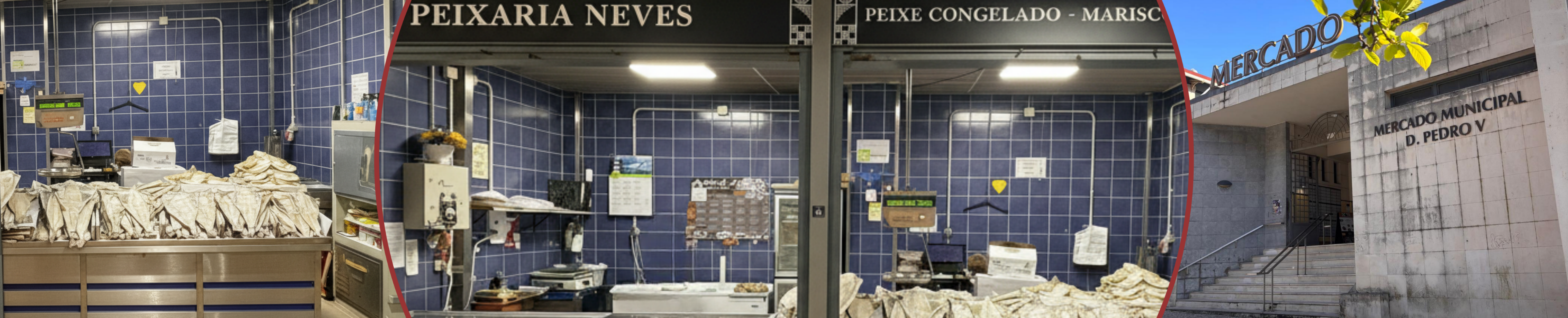 Vendor Banner