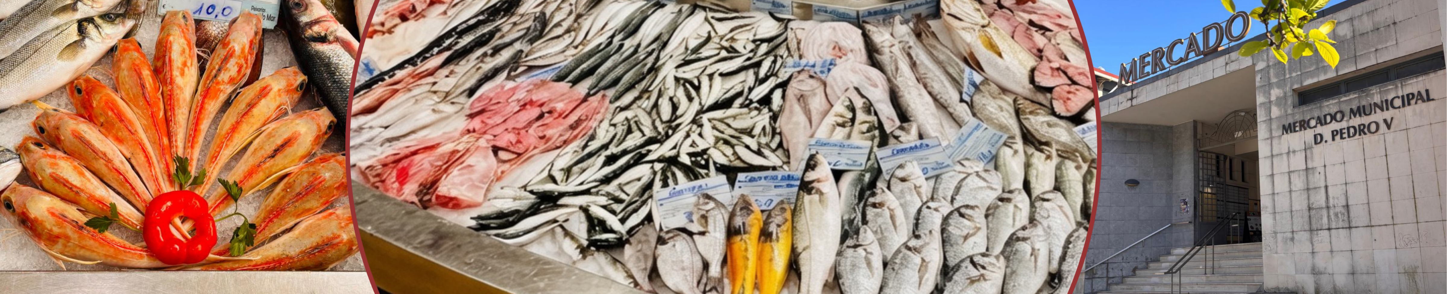 Vendor Banner